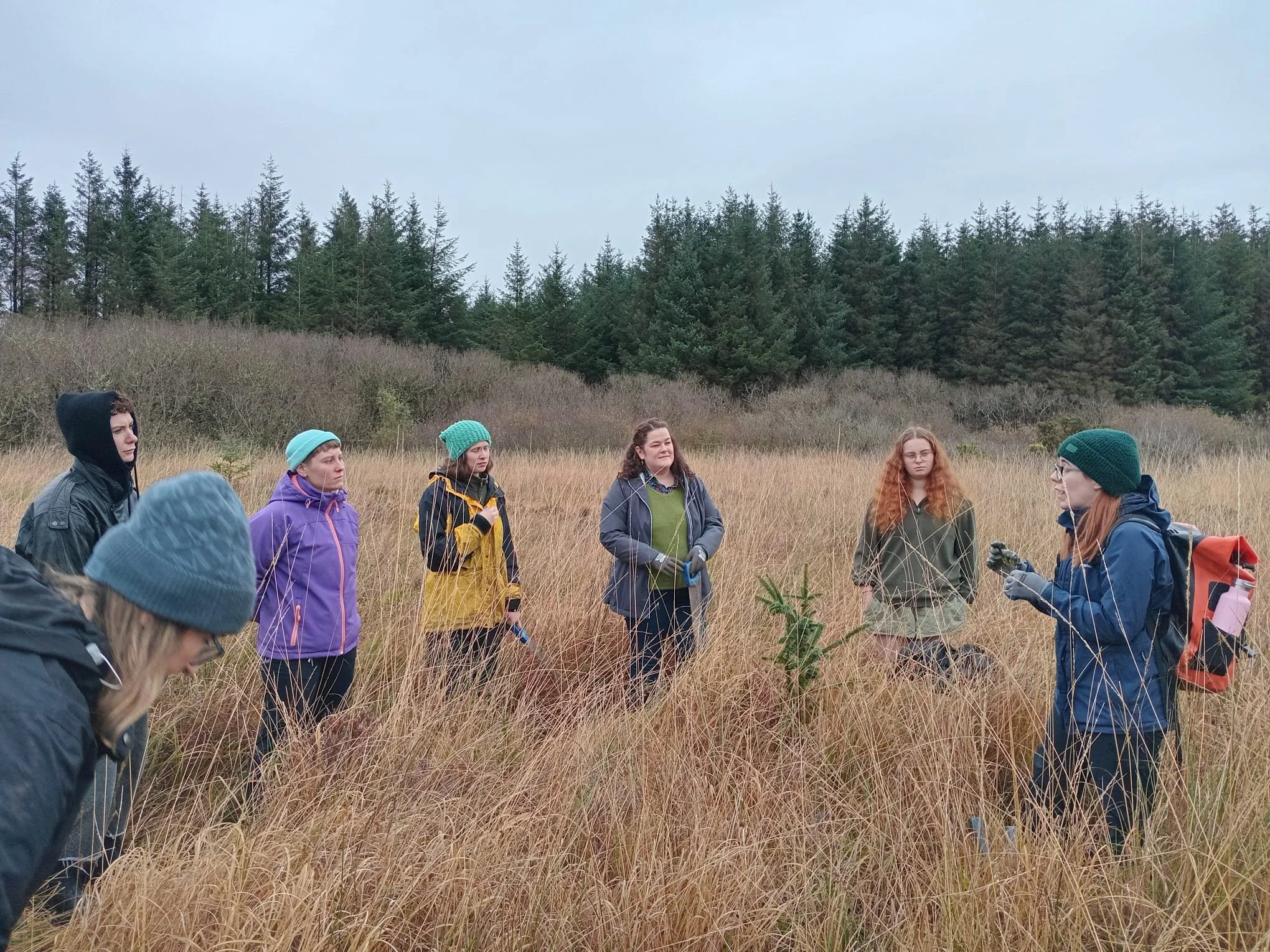 WhatsApp Image 2025-11-08 at 17.54.54.jpeg