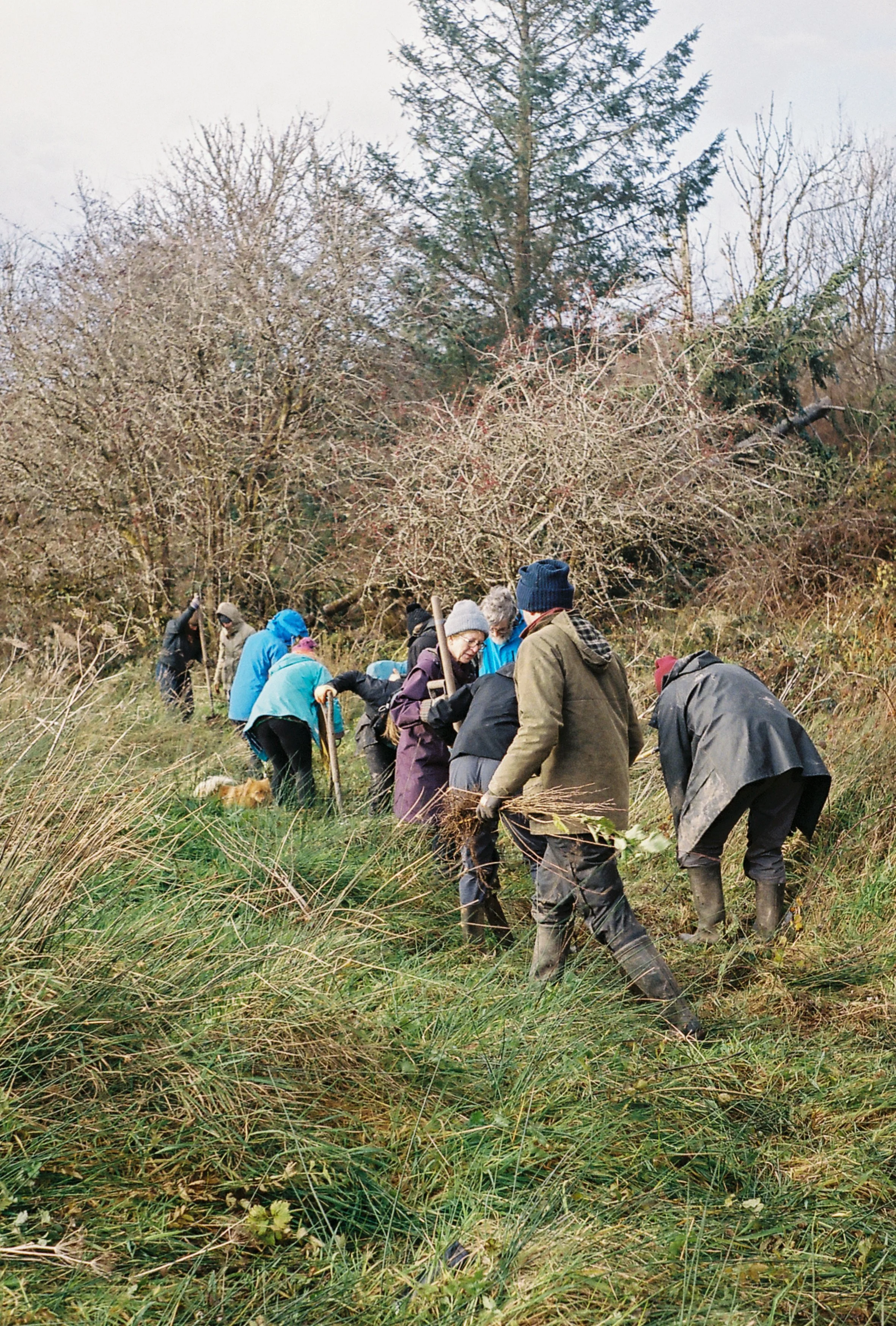 Open Day: Heritage and Biodivesity tour of the land  