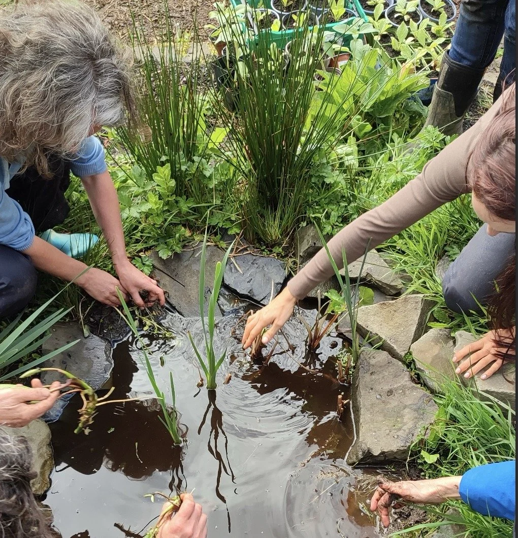 Screenshot 2026-01-27 at 16.02.04 Large.jpeg