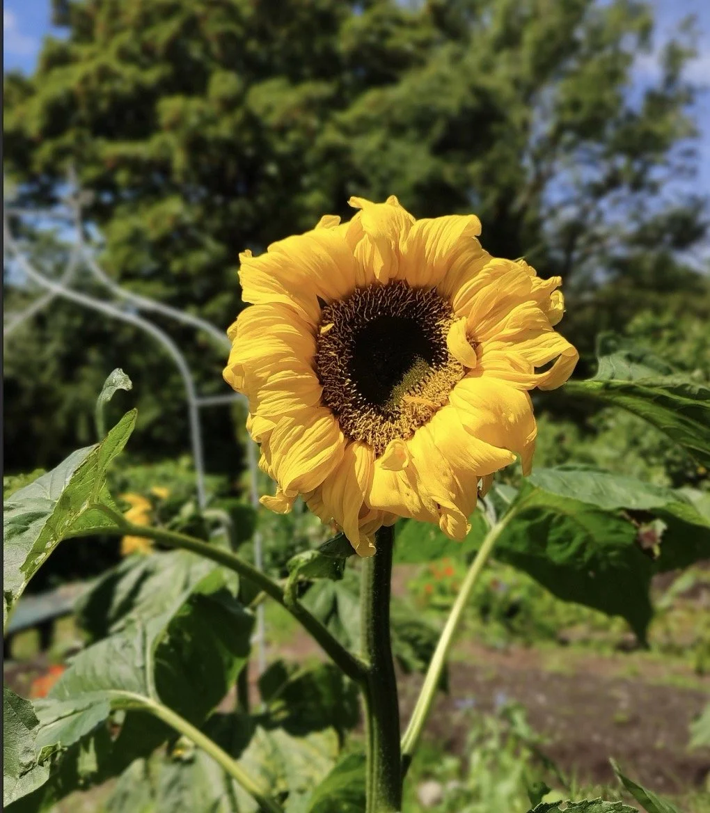 Screenshot 2026-01-27 at 16.02.25 Large.jpeg