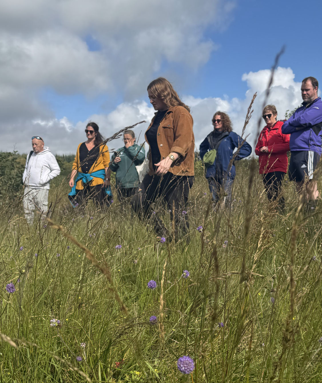 Free Peatlands, Heritage and Biodiversity Tour of the Land 