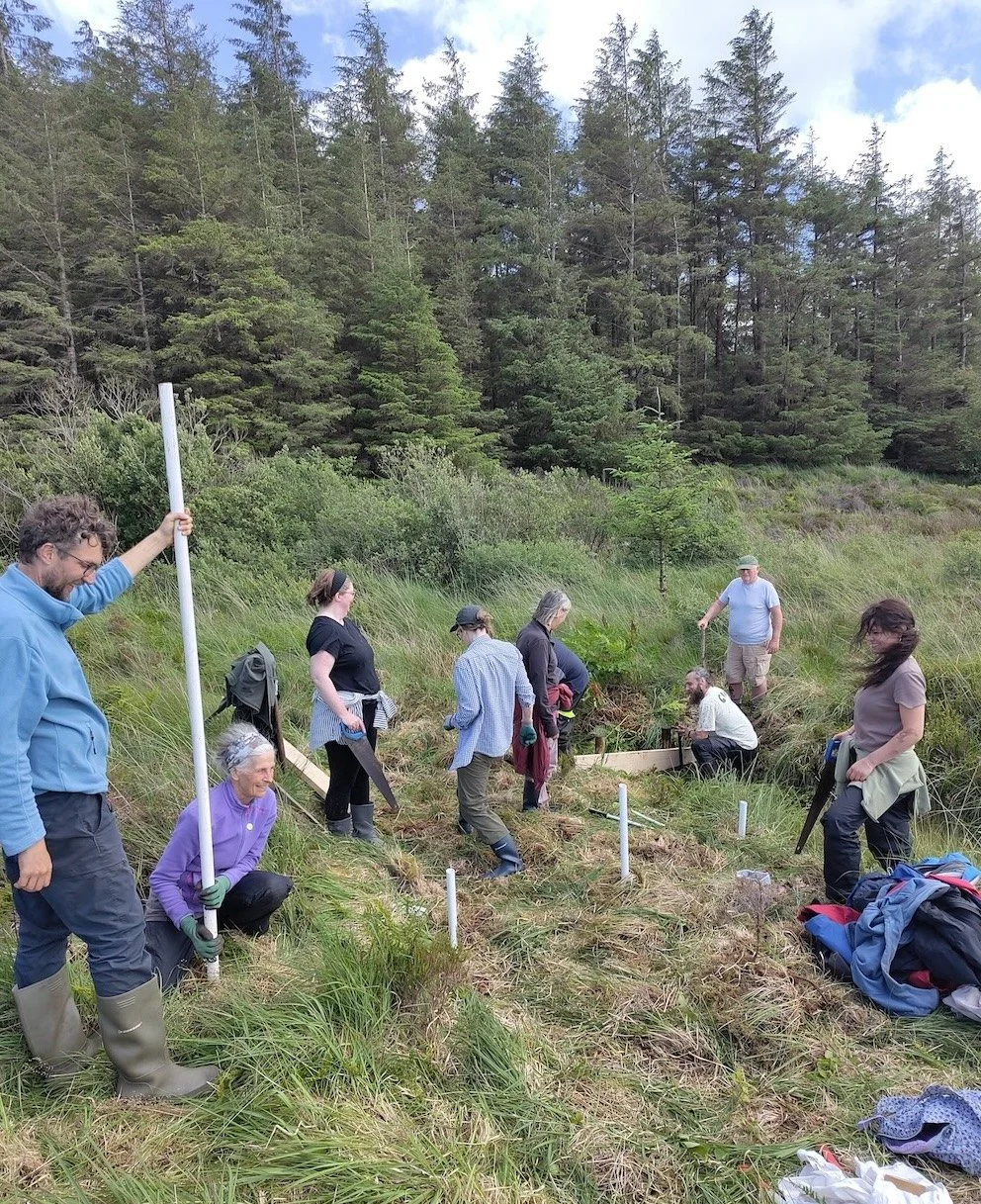 Peatland Restoration - Biochar, Sheep's Wool and Community Engagement