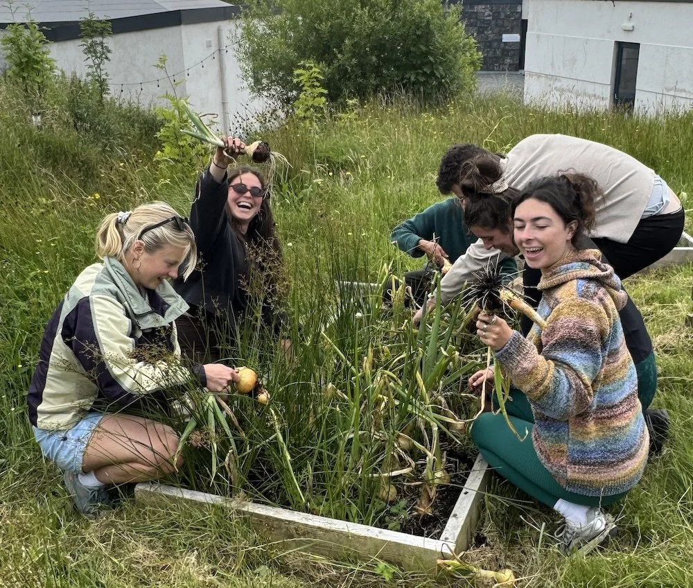 Lisdoonvarna Community Gardening workshop