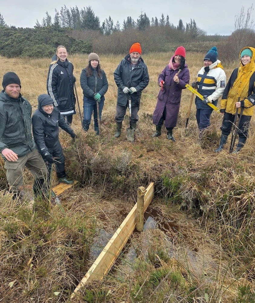 A group of people in rain gear working on building a wooden damn in the bog