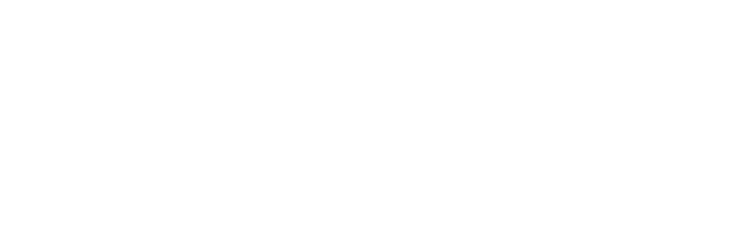 Ervin Educational Consulting