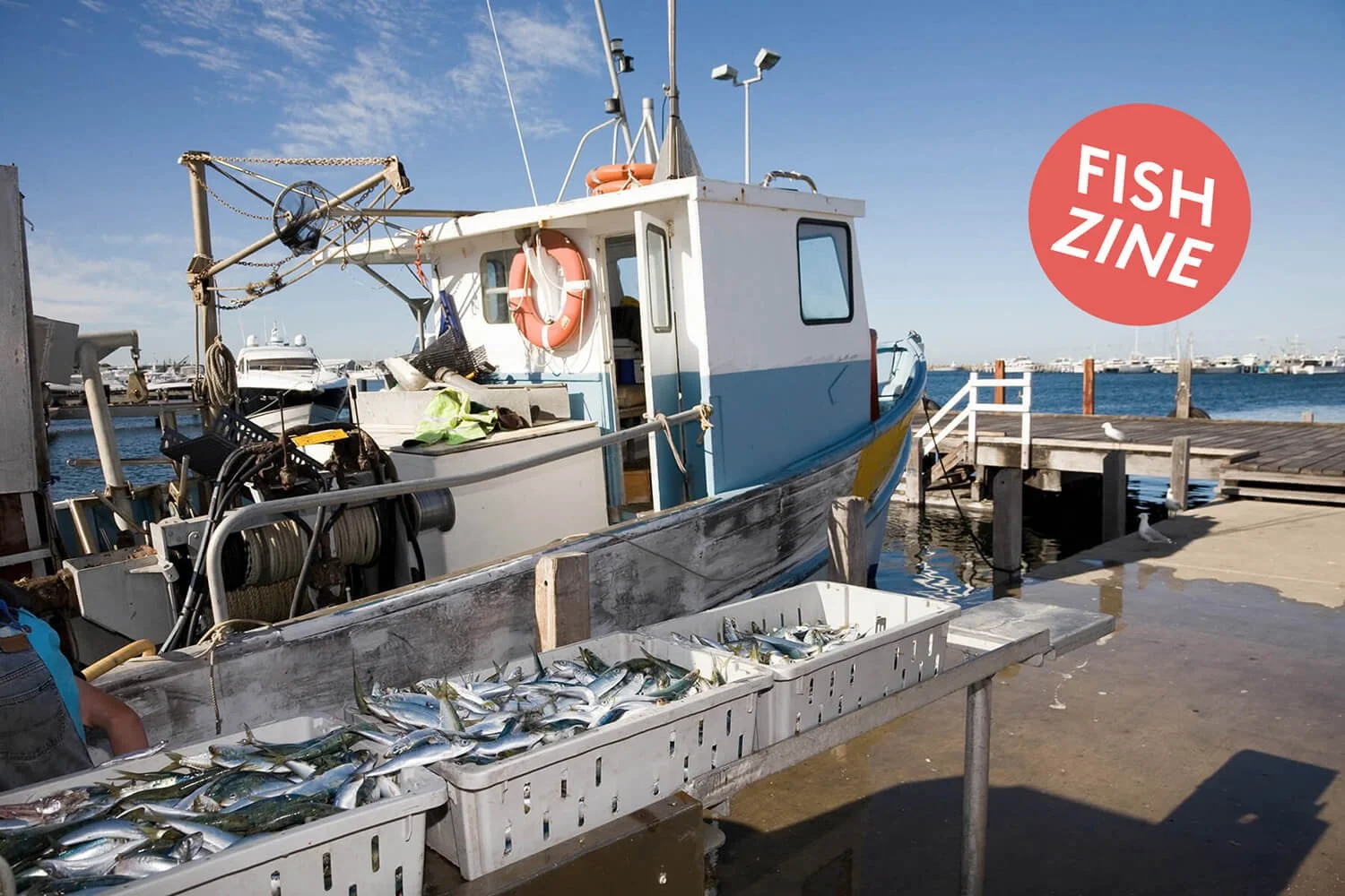 Preview Fishzine Ausgabe 01 Daniel Rietdorf Maritime Zeitkapseln