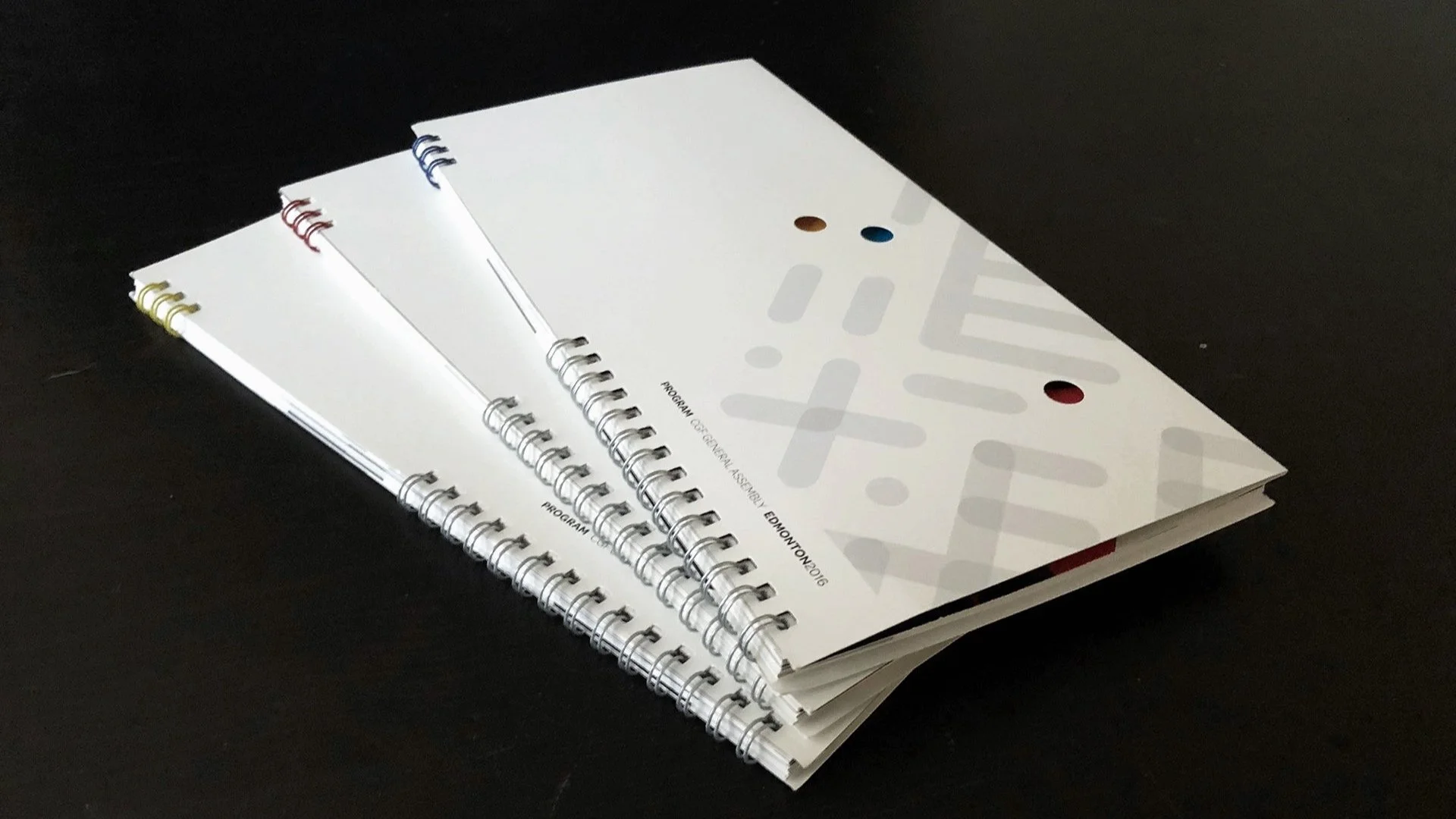 CGF General Assembly Program