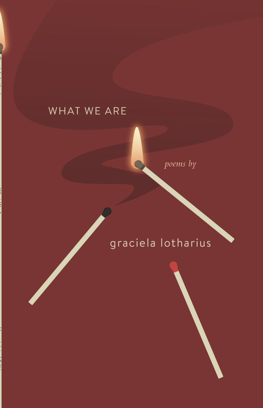 cover of whatweare.png