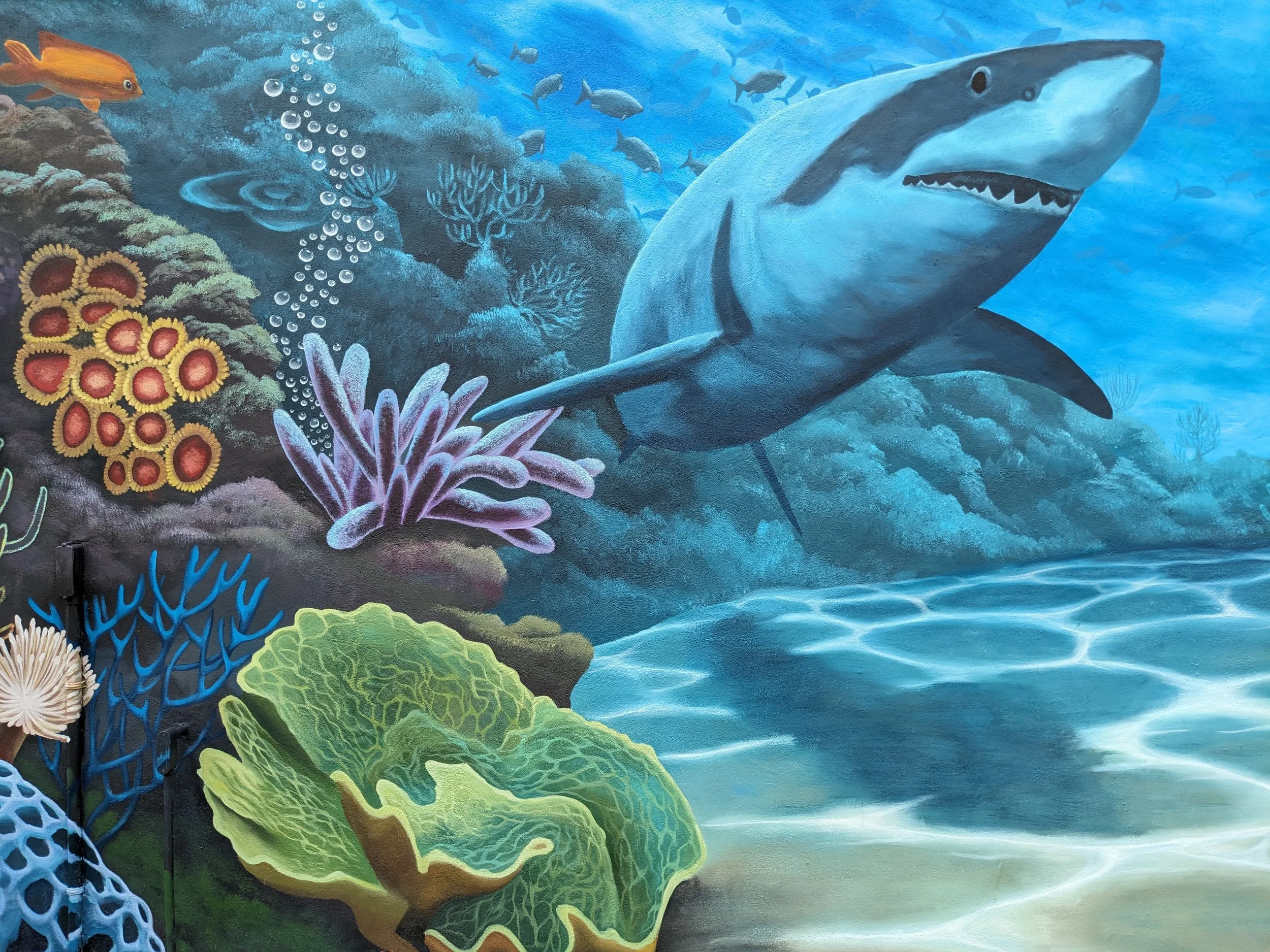 "The Great Deep" Outdoor Mural by the pool