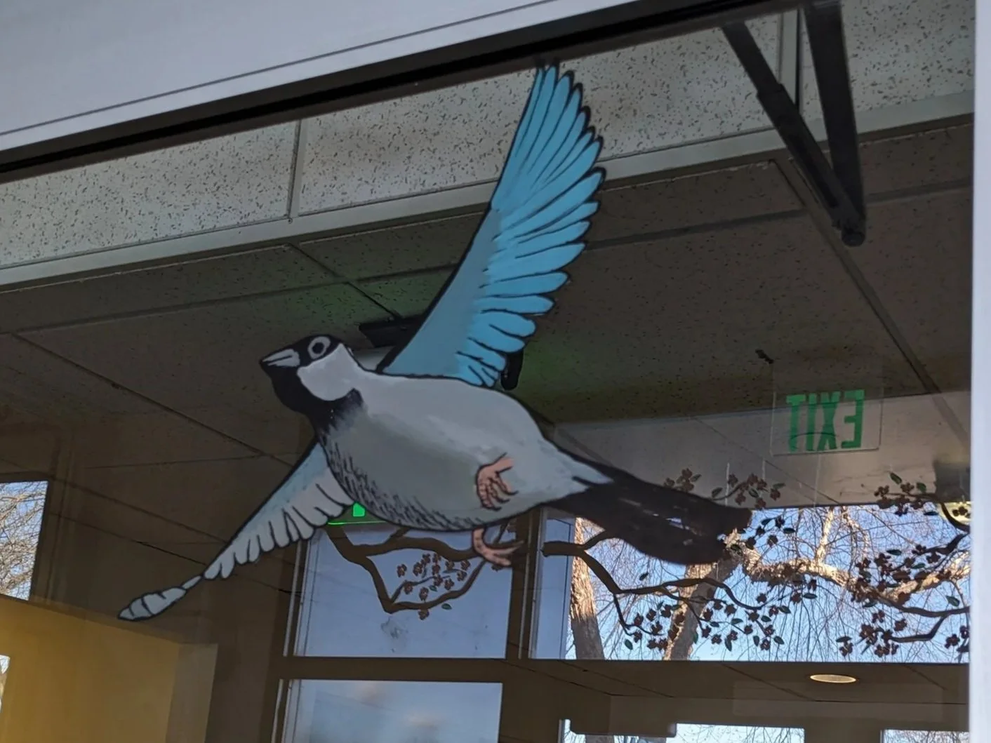 Seasonal Window Paintings