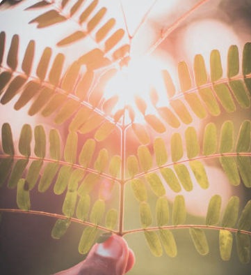 C'est quoi être spirituel ? Démystifier la spiritualité au quotidien