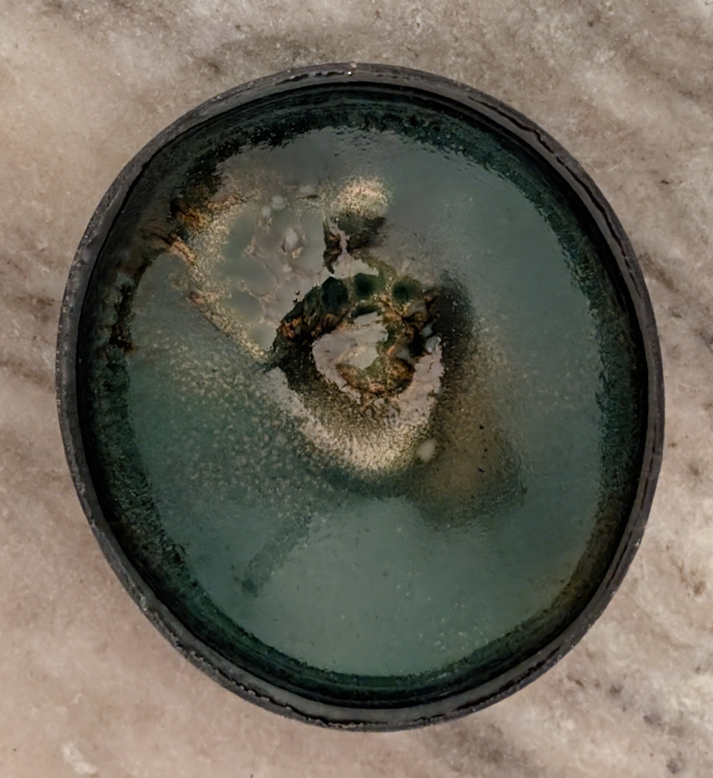 Rhonda Sullivan-4.jpg