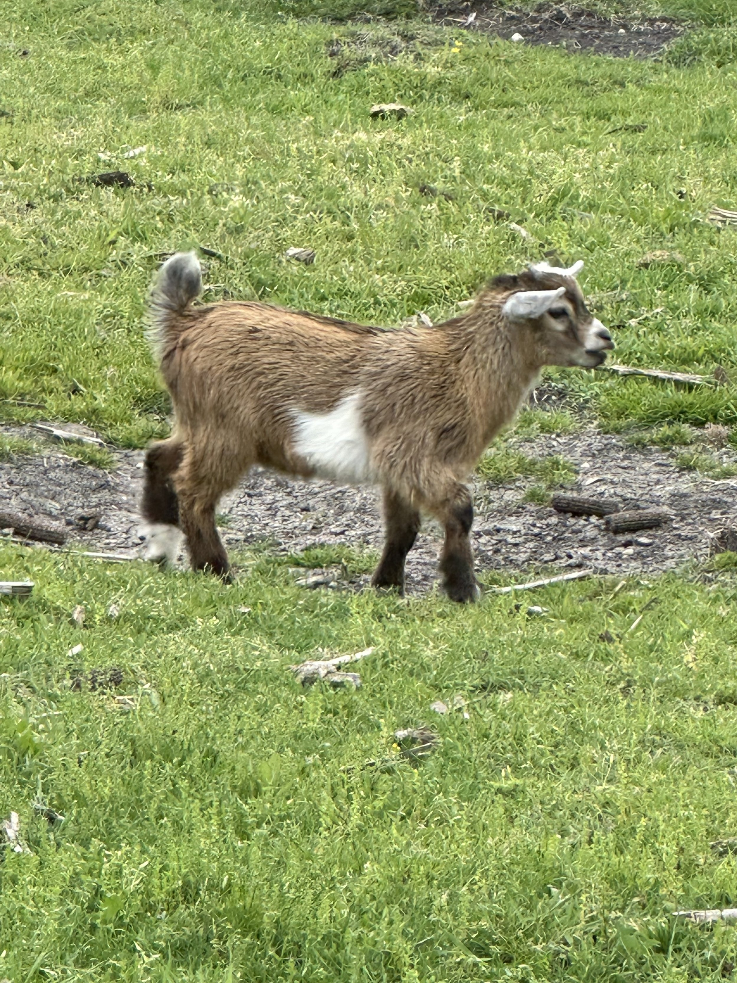 IMG_0865.jpeg