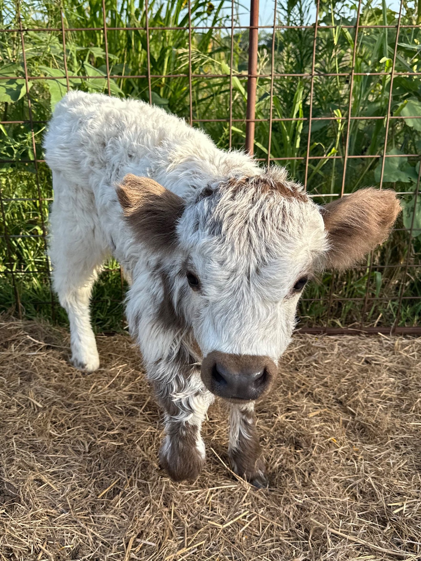 Visits and Events — Pearly Ranch