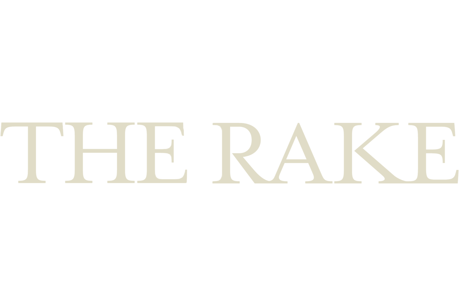 The Rake Logo