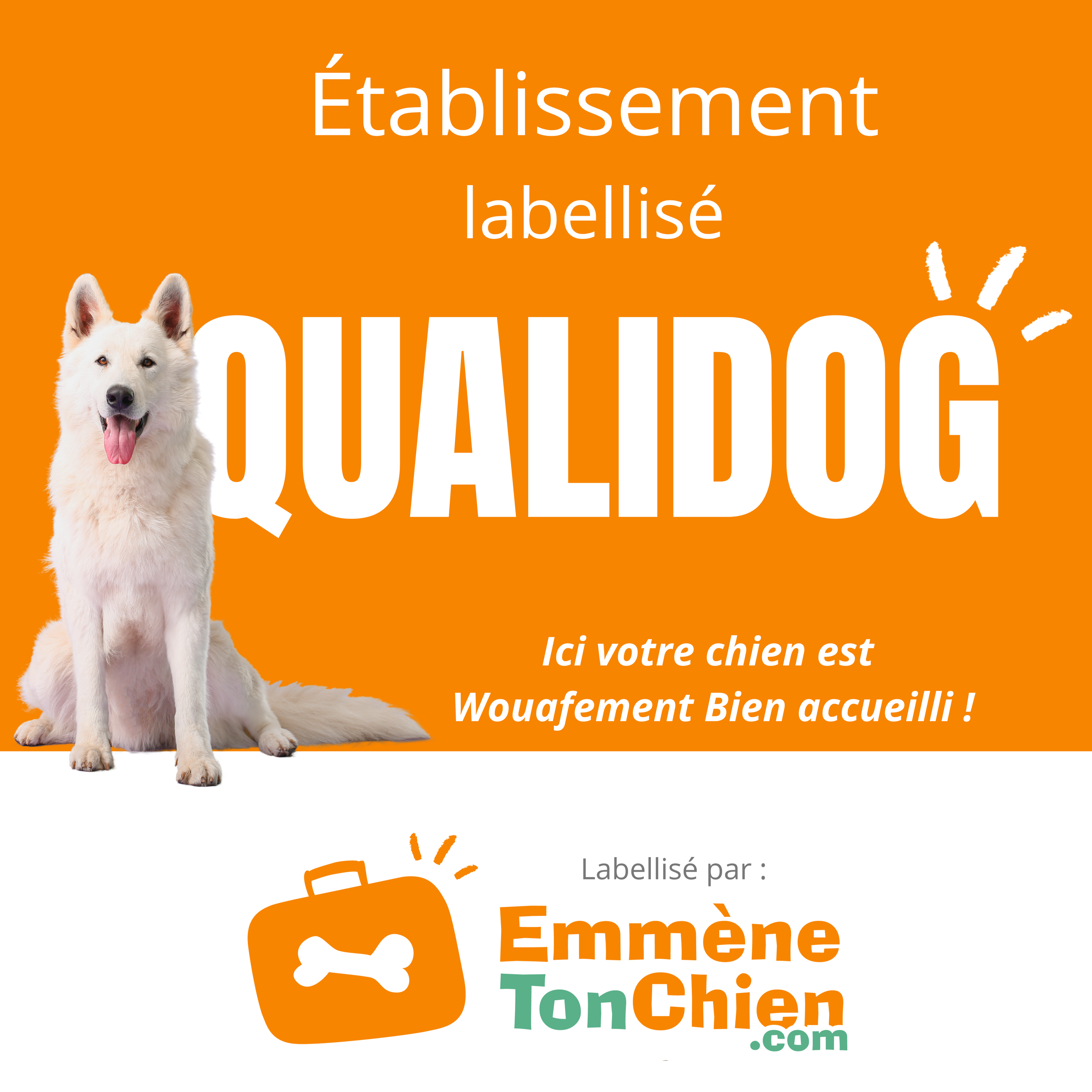 Visuel label QUALIDOG pour communication web (1).png