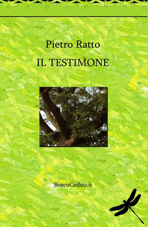 Copertina de Il testimone