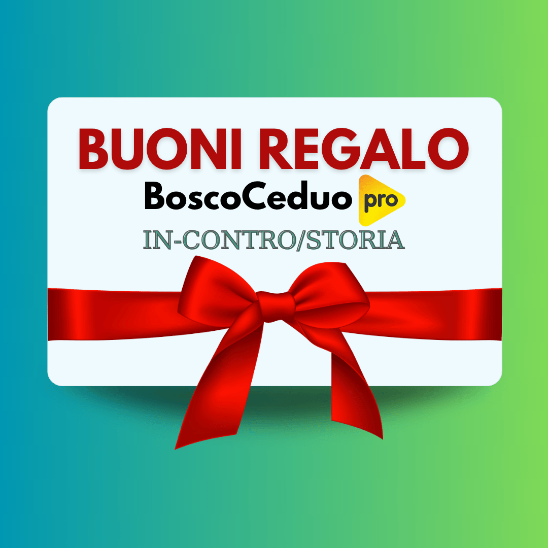 Buono regalo incontro storia.png