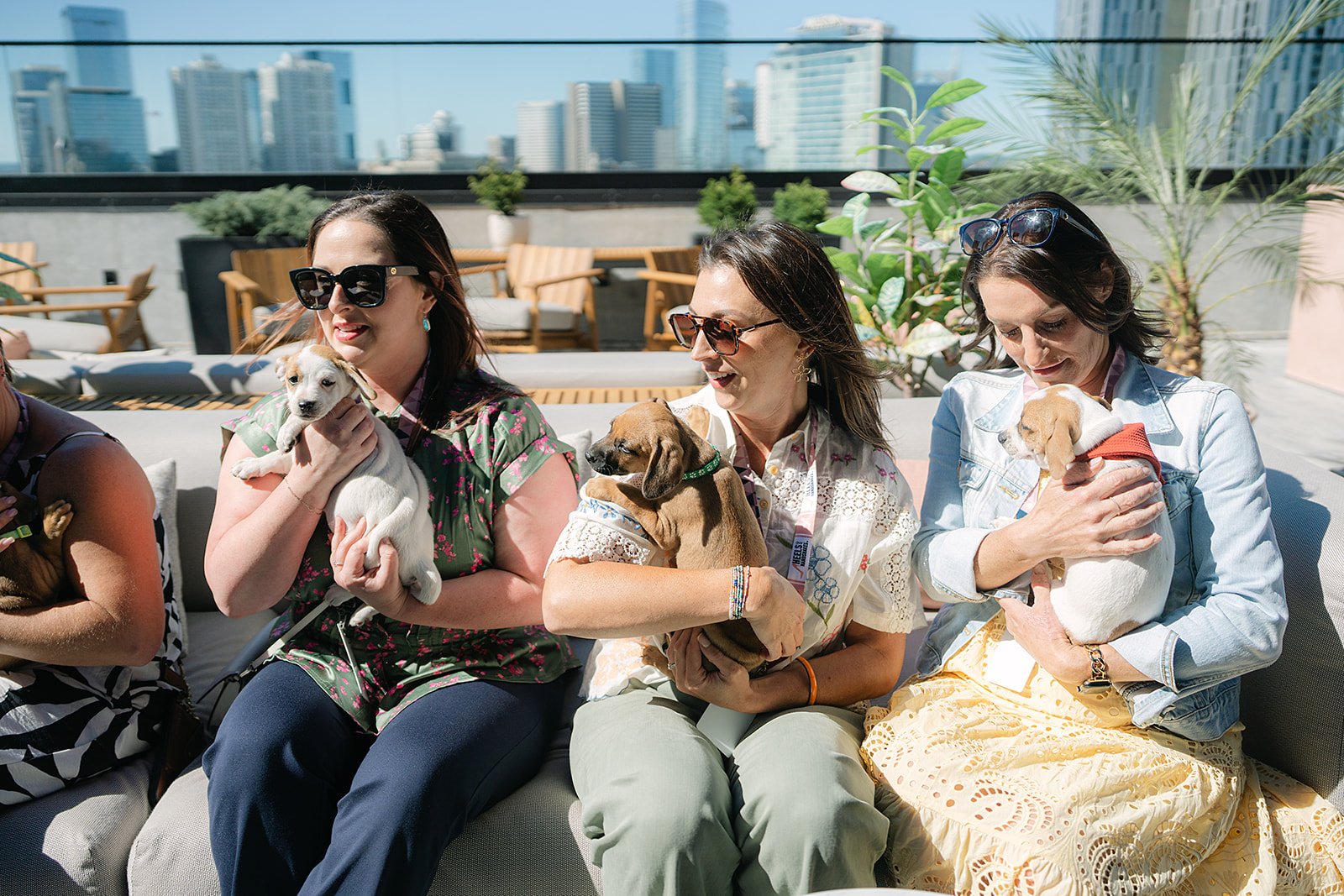 nashville networking heels and handshakes puppy cuddling.jpg
