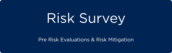 Risk survey services