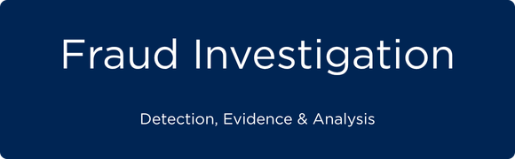 Fraud investigation services