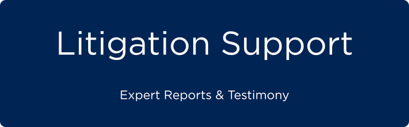 Litigation support services
