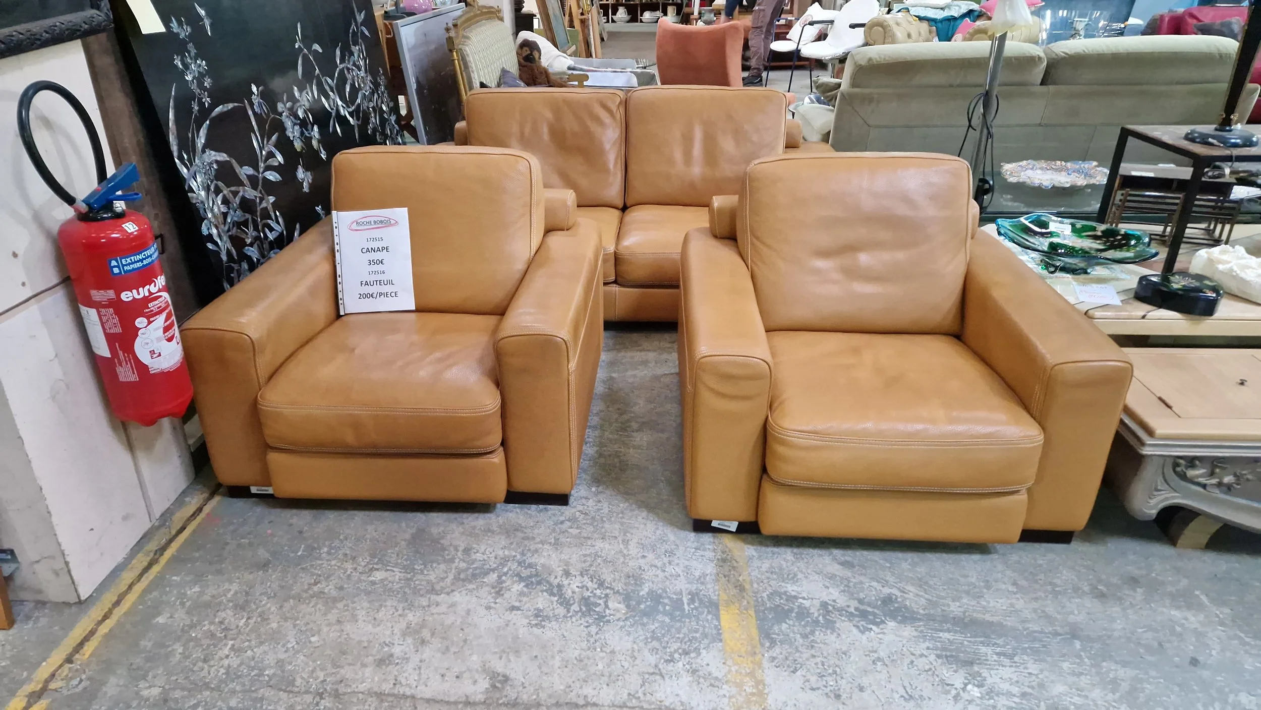 Canapé 350€ &amp; Fauteuil 200€ Pièce ROCHE BOBOIS