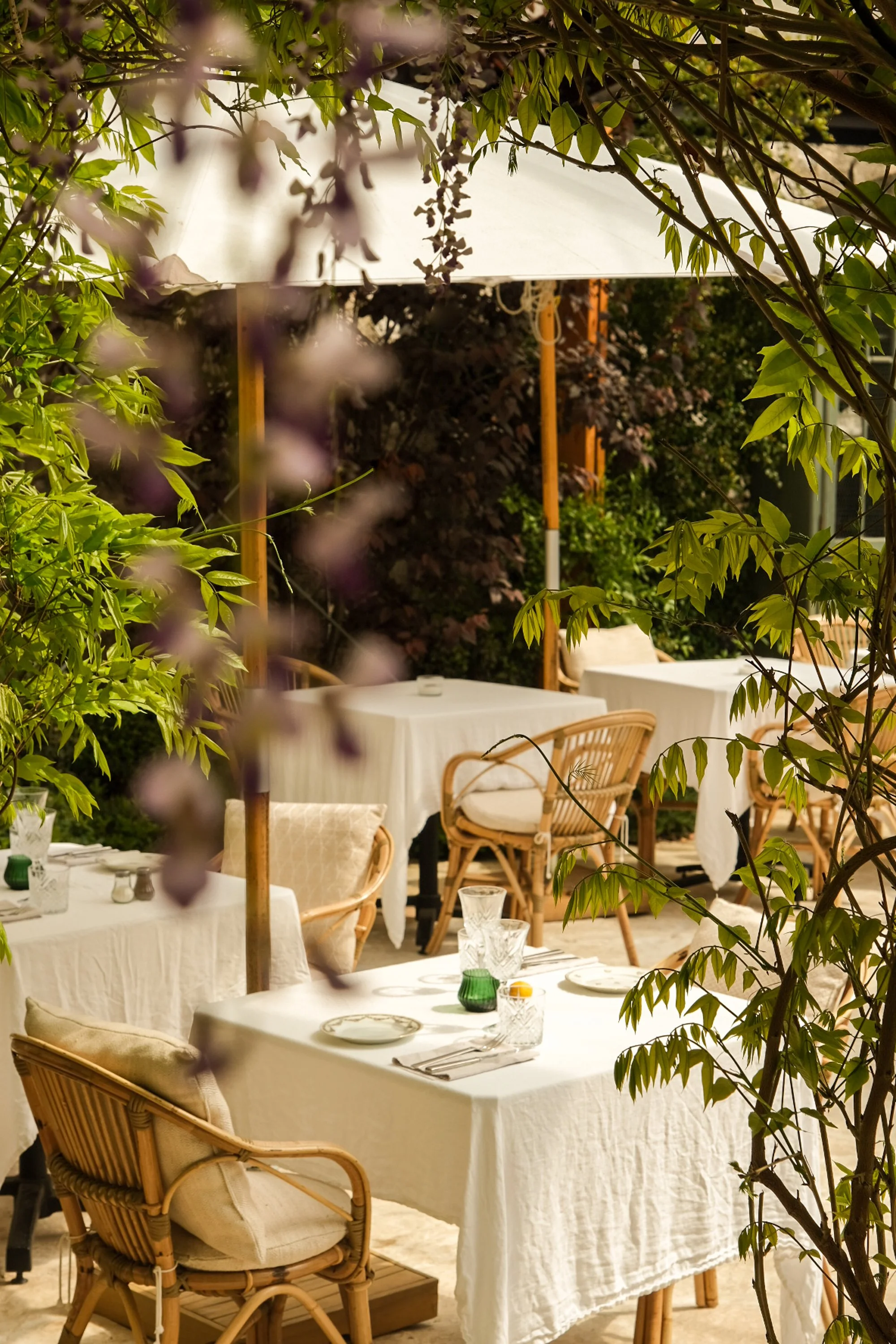Terrasse de restaurant élégante avec tables voilées de nappes blanches, chaises en rotin, et parasols sous un feuillage dense.