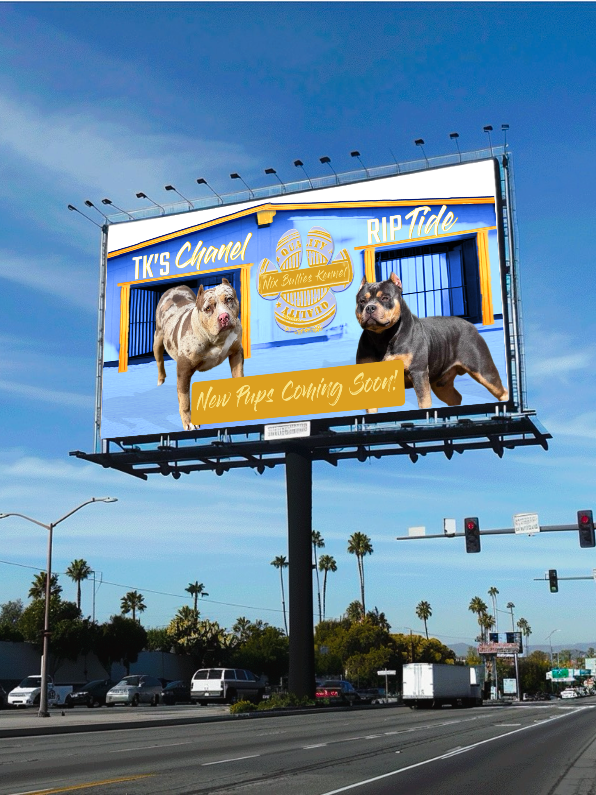 NBK HWY Billboard Mock-Up.png