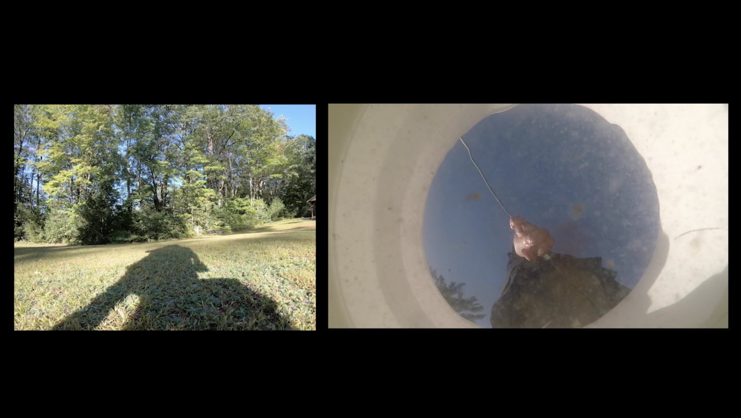 Waterworks | Shadow