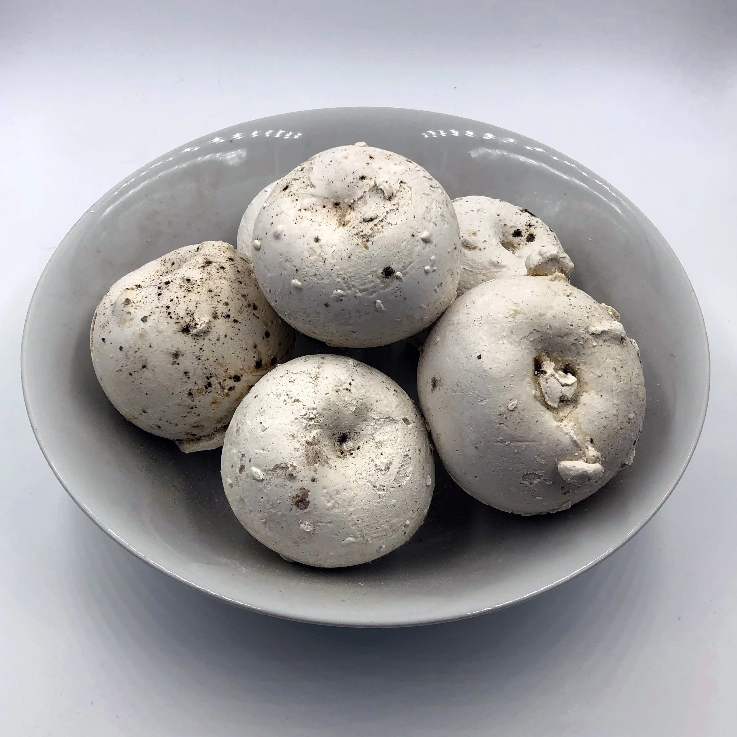 Bethany_Engstrom_BreakingBreadApples.jpg
