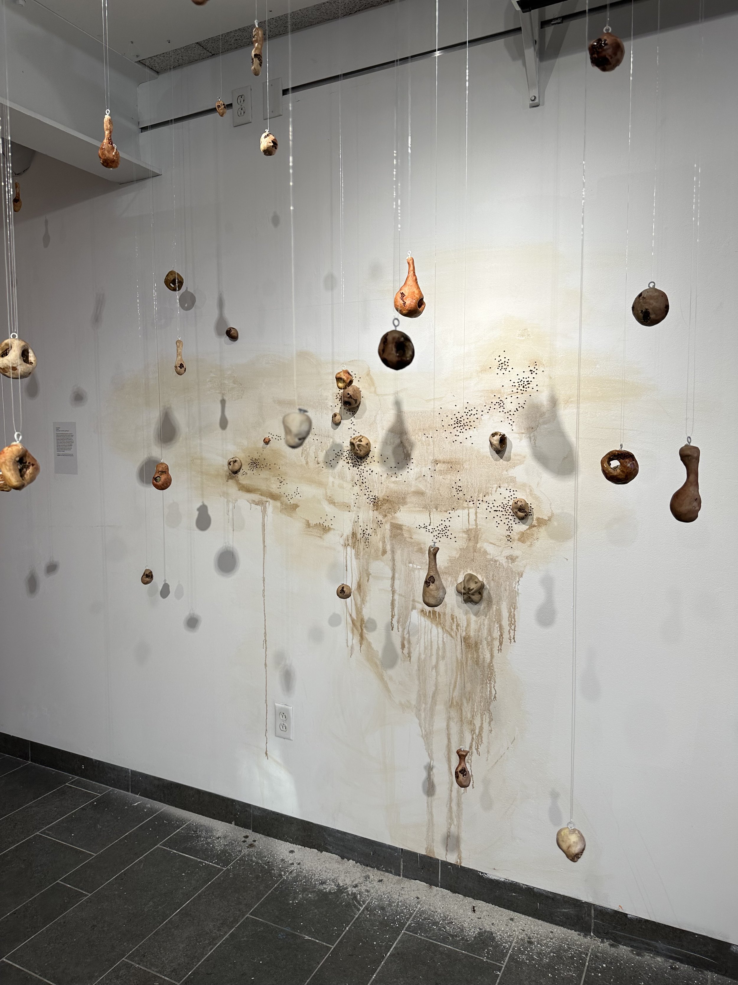 Undergraduate Installation Class