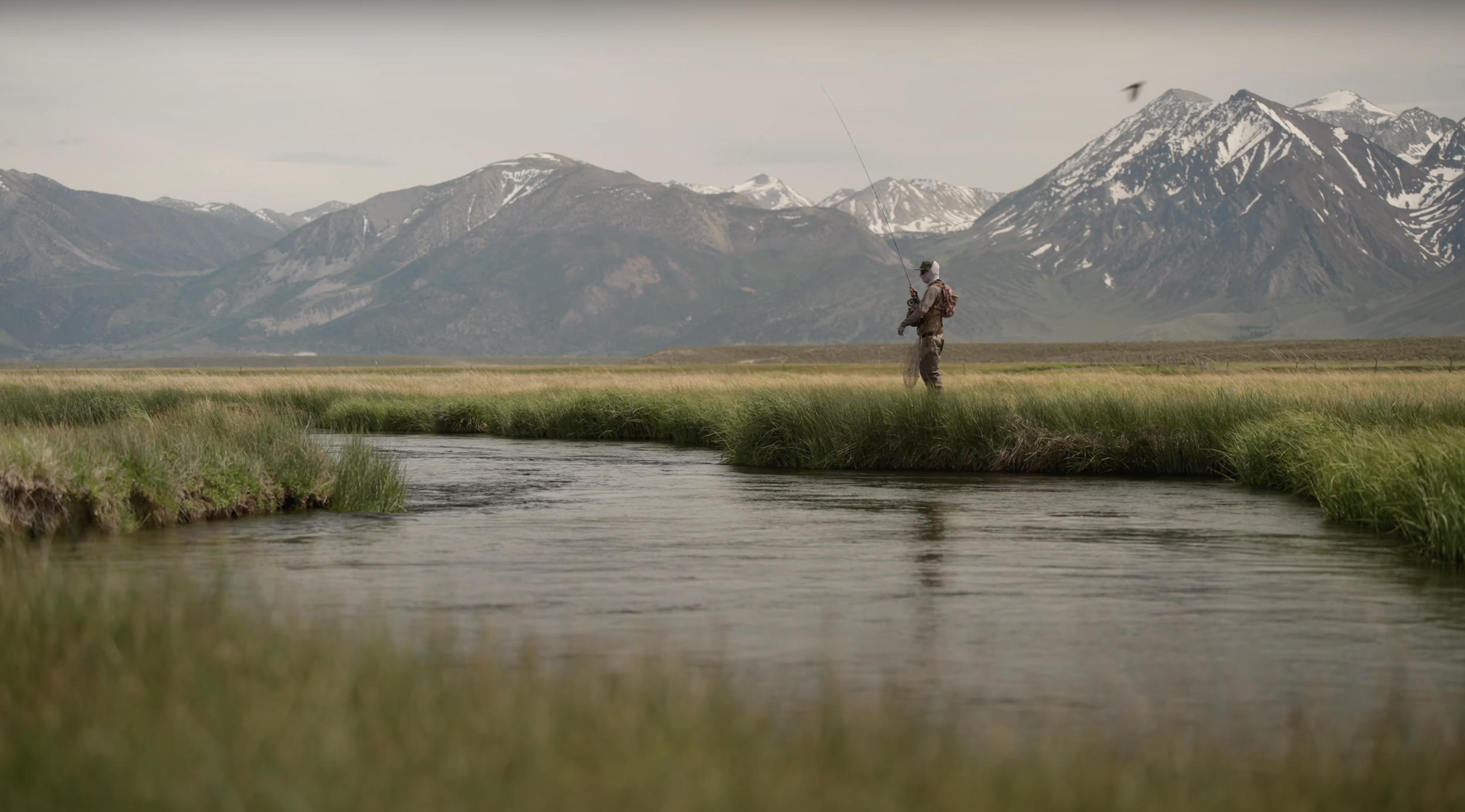 Redington EDC Campaign
