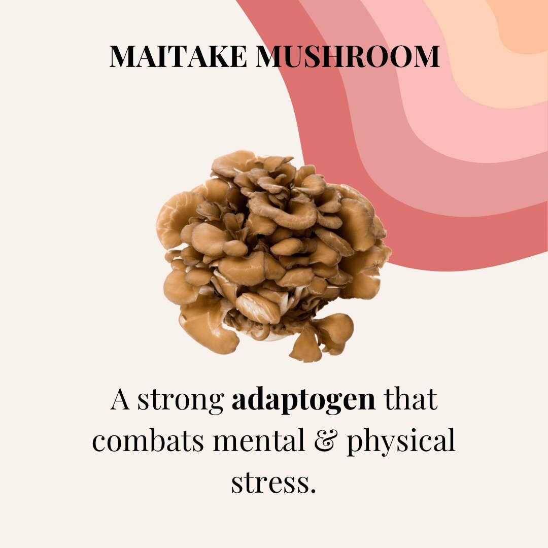 Have you seen maitake before? If not, you can find her in our mushroom elixir gummies! Let us know below your experience with Maitake 👇
&bull;
&bull;
&bull;
&bull;
#holistichealthcare #holistichealthpractitioner #holistichealthandwellness #holistich