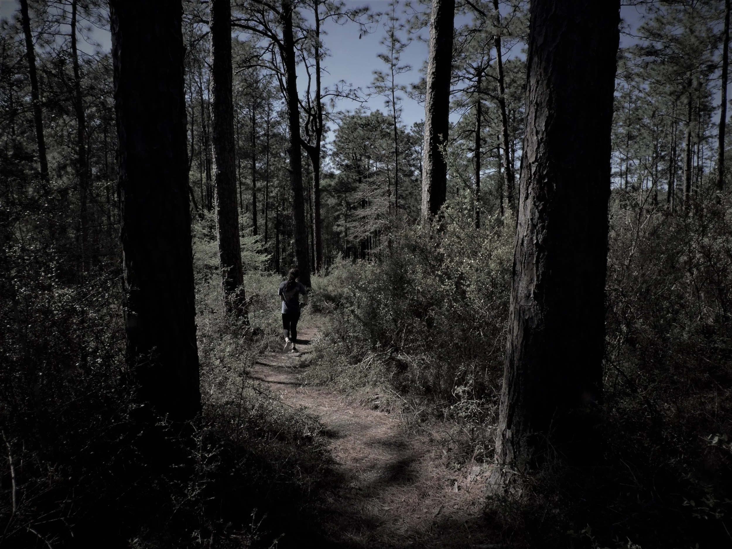 Photograph Fear - "Fear of Disappearing"