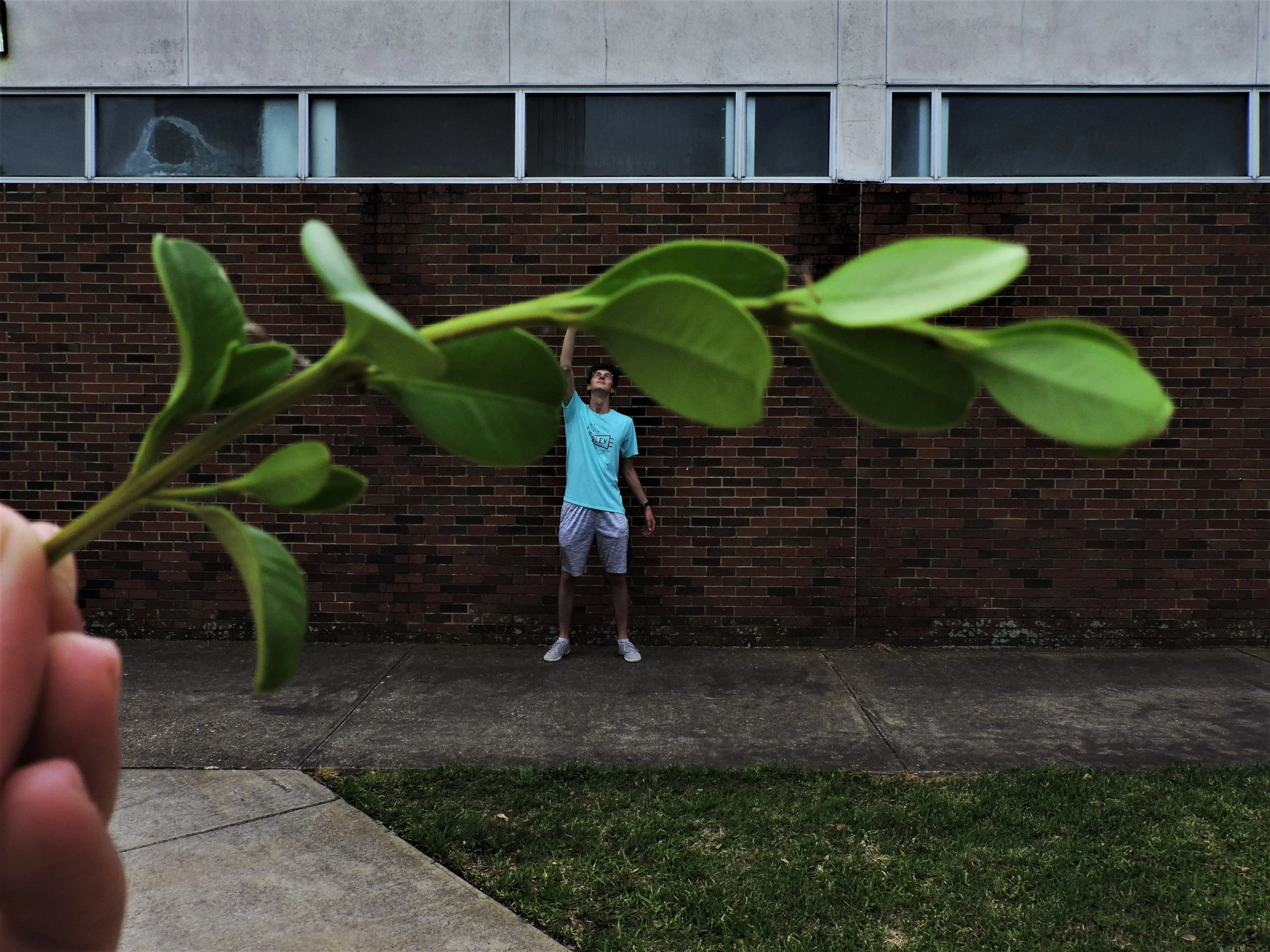 Forced Perspective - "Hang In There"