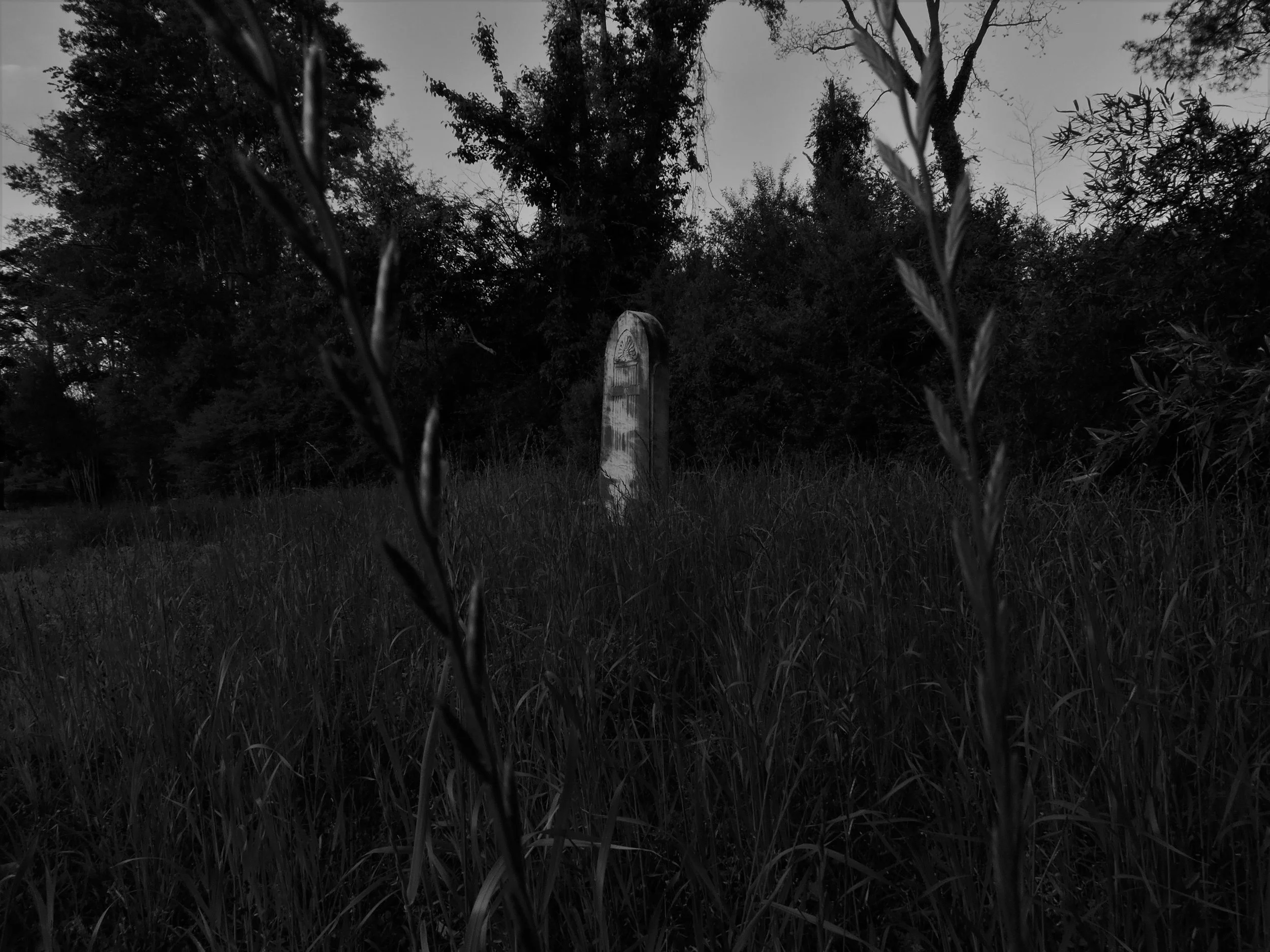 Photograph Fear - "Fear of Obscurity"