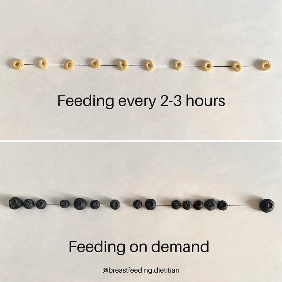 In the hospital they usually tell moms to try to breastfeed every 2-3 hours. Wake baby to nurse every 2-3 hours. That way you can make sure to nourish baby and bring in a good milk supply. 

Unfortunately this isn&rsquo;t exactly how it works🙄 this 