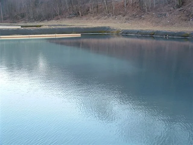 Pond6_2_3-13-08.JPG