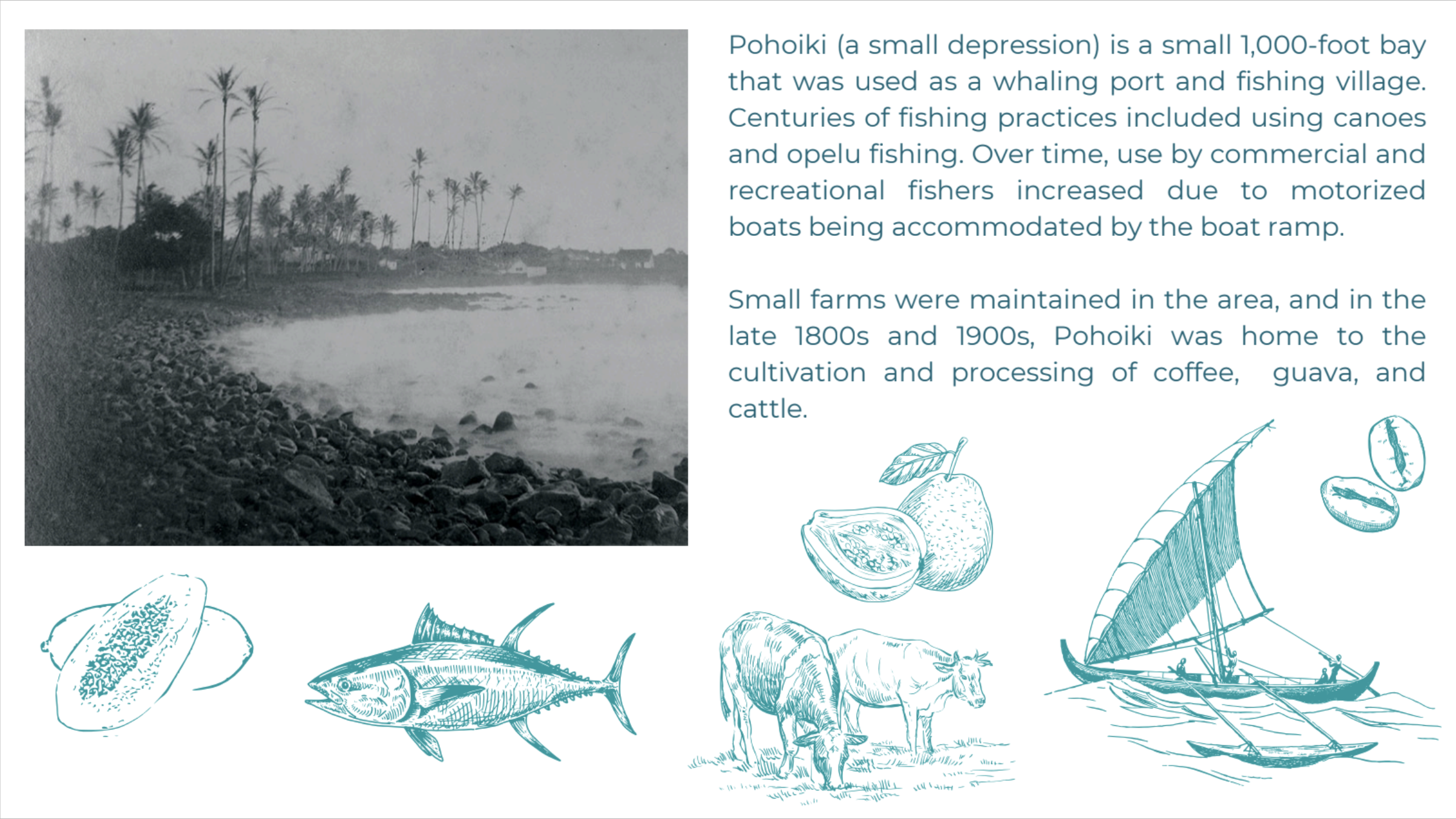 Screenshot 2025-11-09 at 2.10.49 PM.png