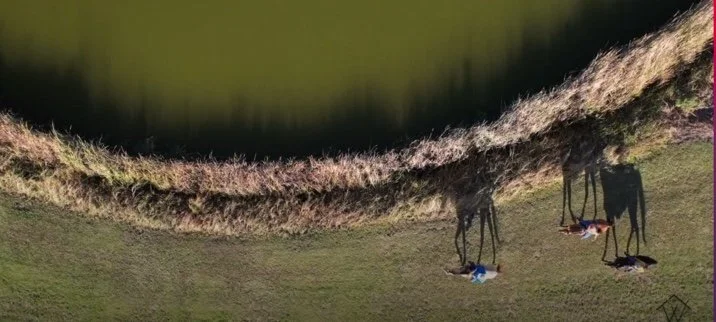 Image 12-8-21 at 11.27 AM.jpg