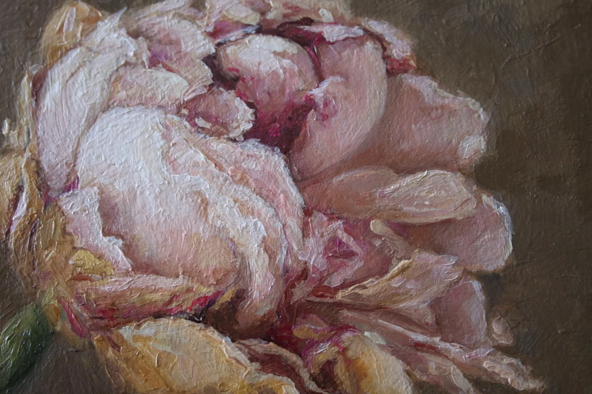 windblown (closeup).JPG