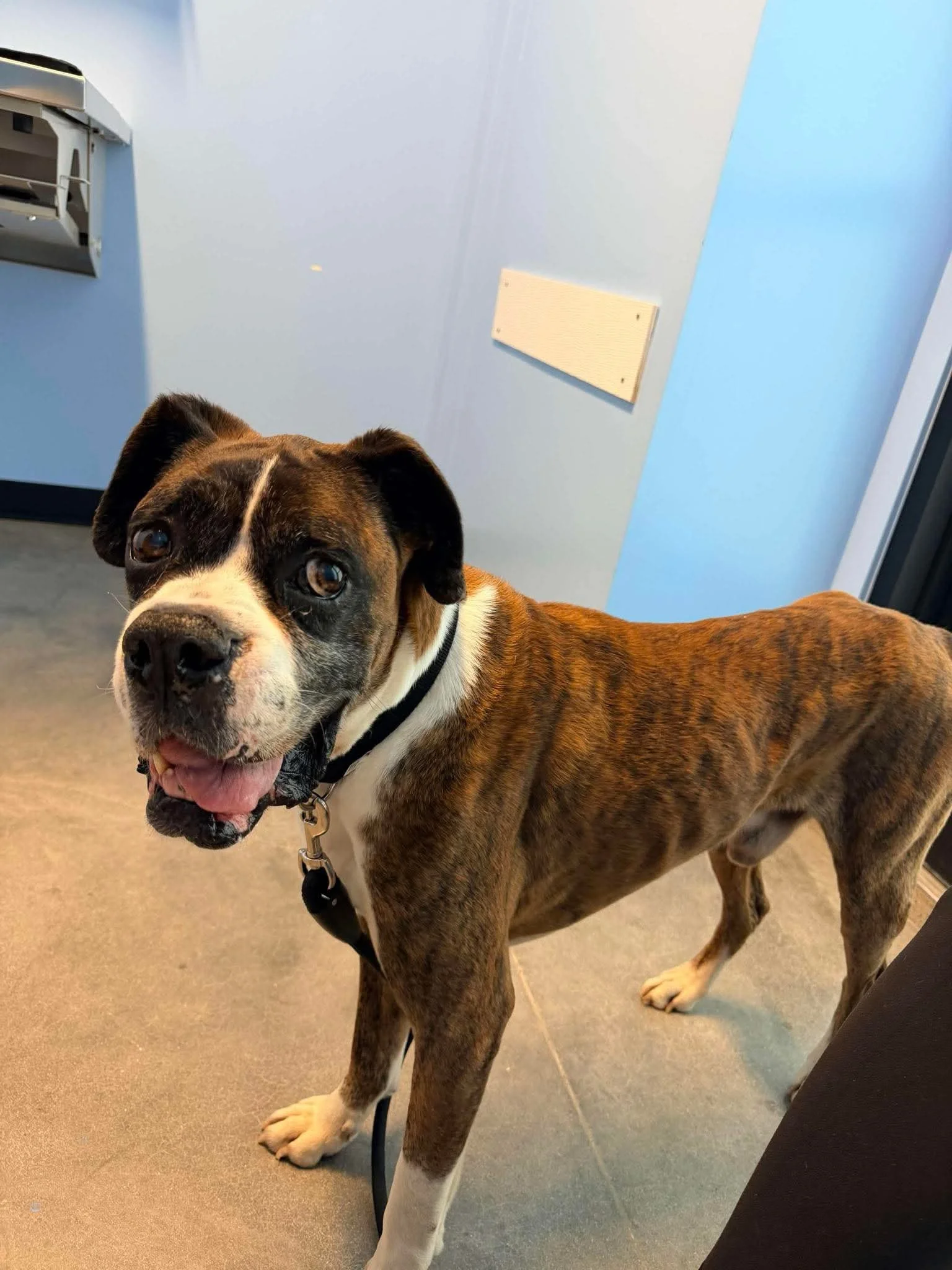  Isaiah  - Available!! 