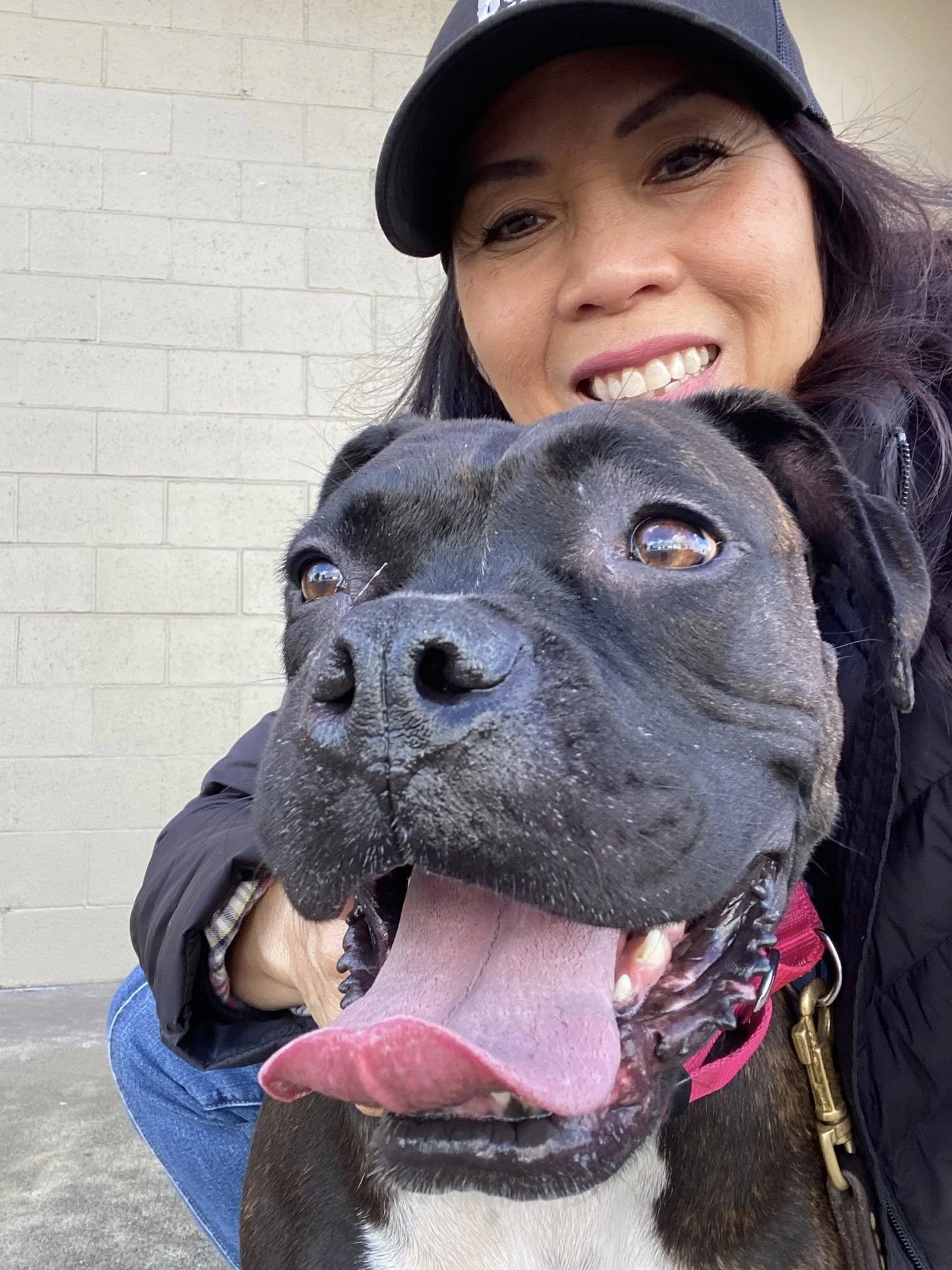  Polly  - Available!! 