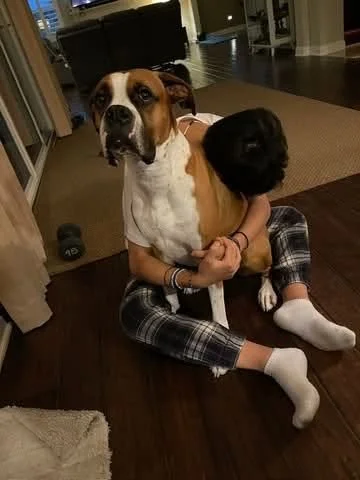 Maximus & Sotherby3.jpg