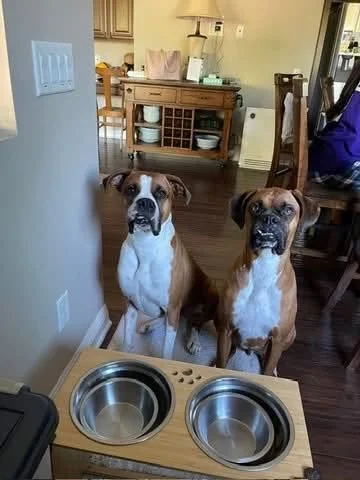 Maximus & Sotherby4.jpg