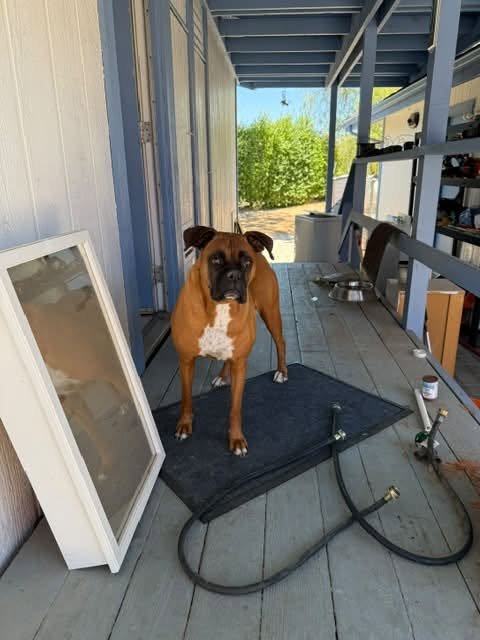 Lucy3.jpg