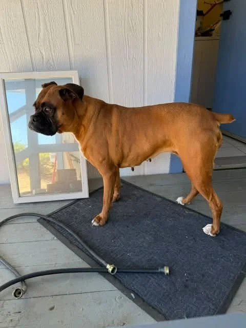 Lucy4.jpg