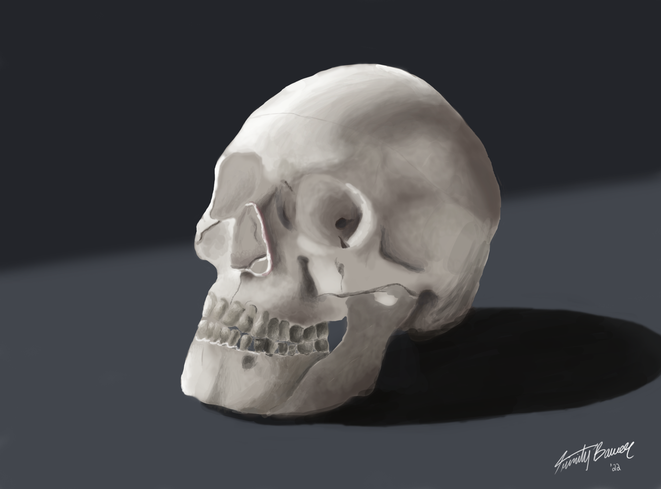 Skull 2022 (Adobe Photoshop)