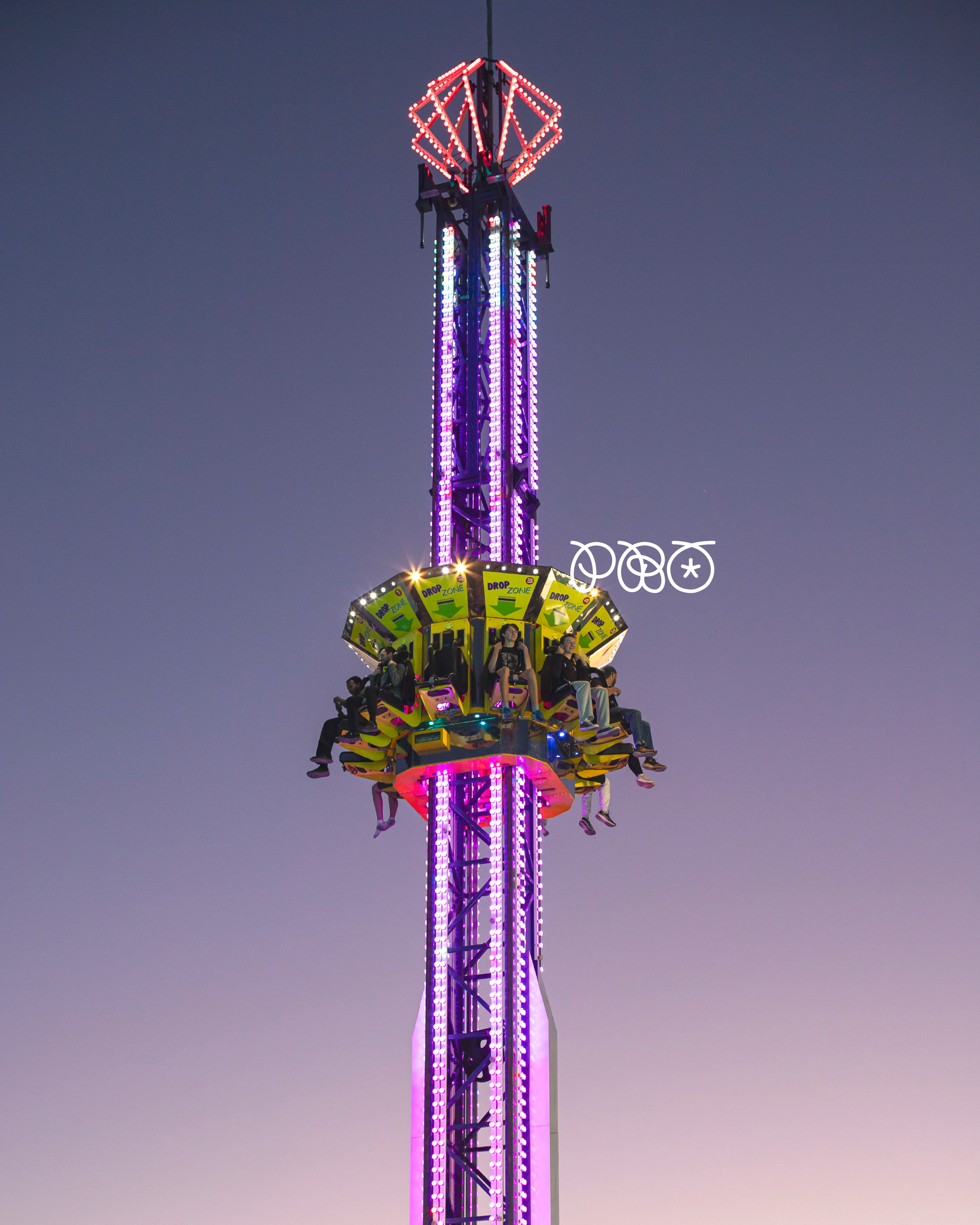 CARP-Fair-1@3x.png